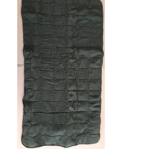 NEW Southern Living King Sham Cotton QUILTED Grayson Blue 20 x 36 MSRP $49 - Picture 2 of 4